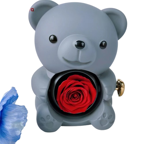 Teddy Bear Gift Box with Eternal Rose